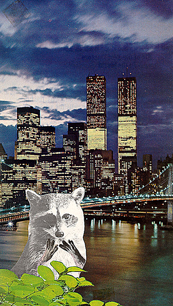 Raccoon, 1978, 6"w x 10"h, Collage on paper