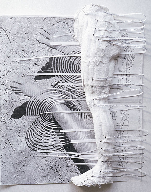 Leg Meridian, 1995, 16"w x 18"h, Plaster and shredded paper