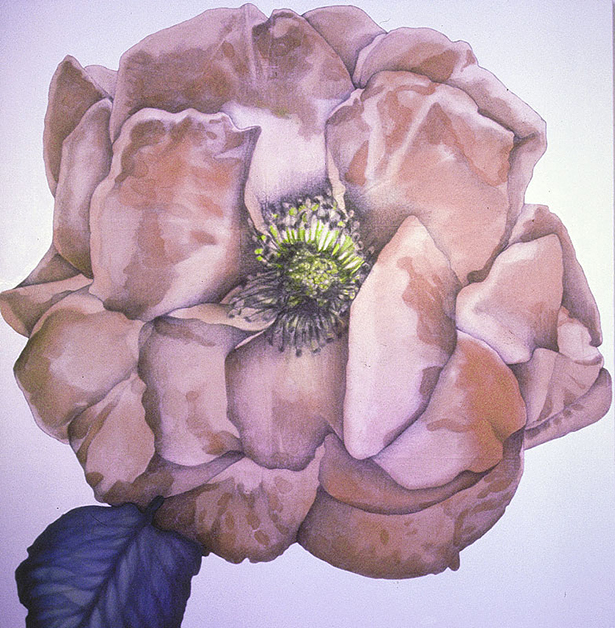 Rose, 1980, 40"w x 40"h, Uncut, oil on cloth