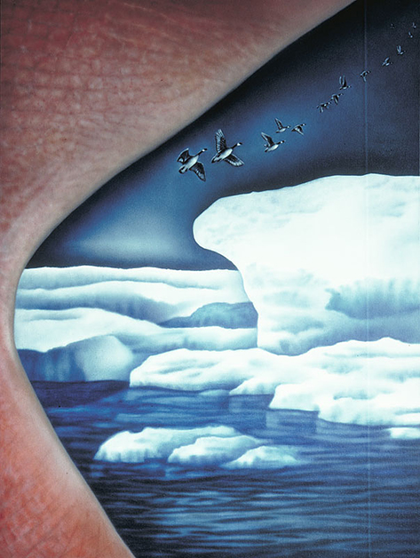 Iceberg, 1977, 48"w x 72"h, Air brushed acrylic on canvas