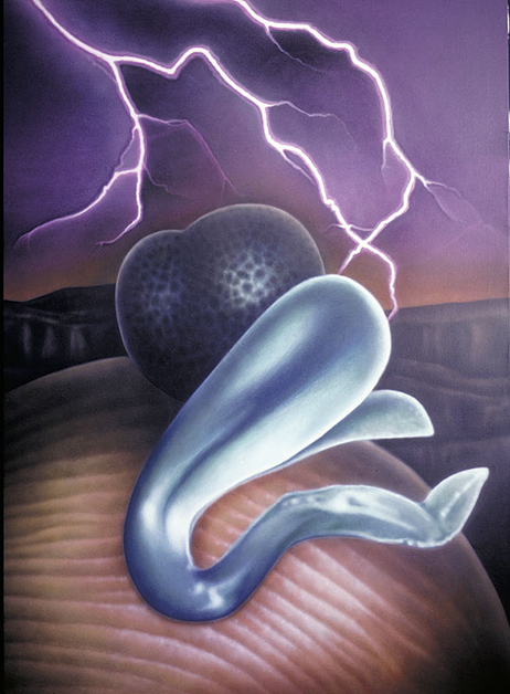 Seed, 1978, 48"w x 72"h, Air brushed acrylic on canvas